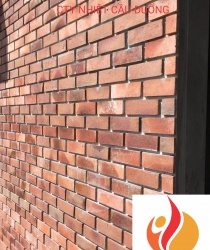 Gạch thẻ cổ (gạch nung) kt 200x70x13mm